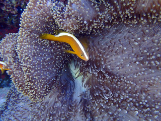 P6130152