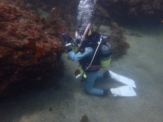 P4300301