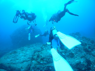 M0013873