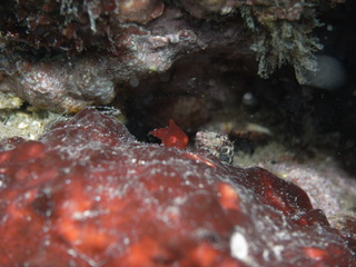 M0101885