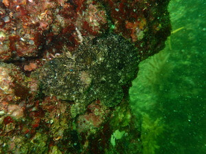 P5050267