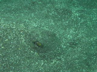 M0012166