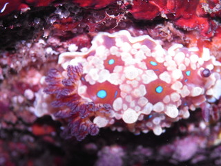 M0010088