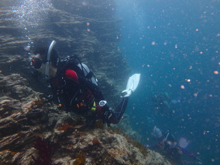 P7120157