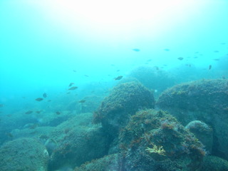 M1057401