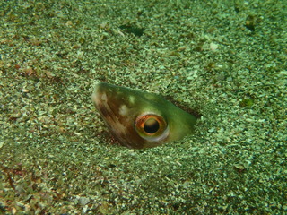 P5270075