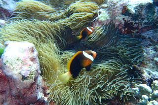P1240361