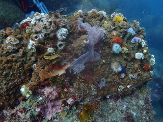 P6280205