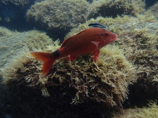 P7080052