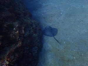 P1210024 (1)