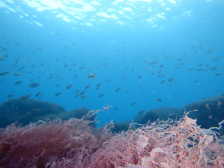 PC130039