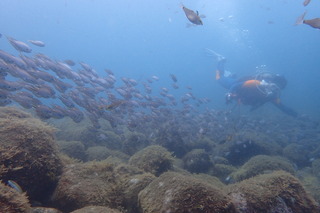 P7300054