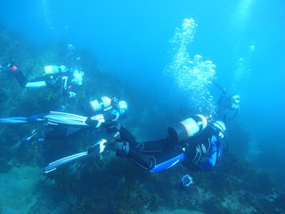 M0015624