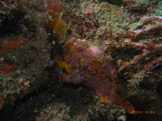 M0012098