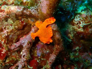 P1150083