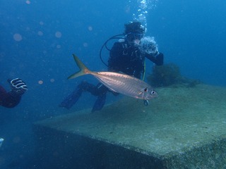 P3160216