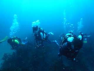 M0023182