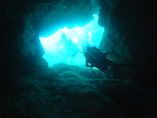 M0012419