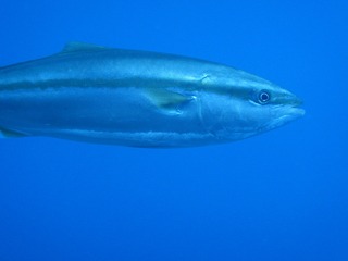 P3126202