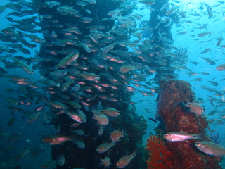 PB050108