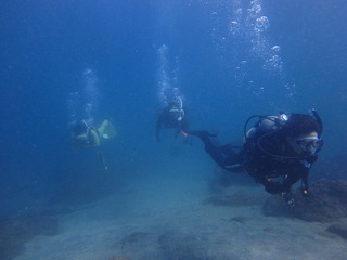 PC100119