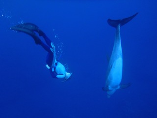 P6240306