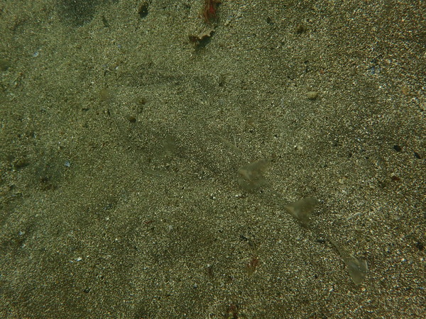 P6070288