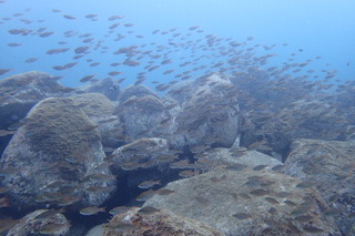 PA010172