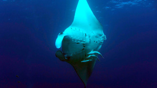 DSC06001