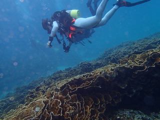 P6060719