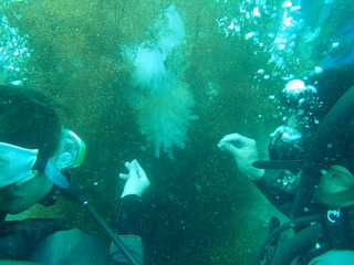 P6260130