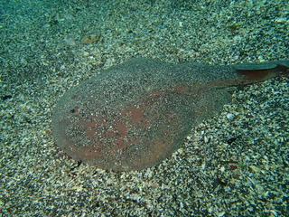 P5220110
