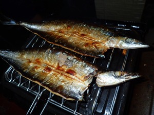 P7230076