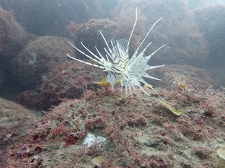 P8010012 (1)