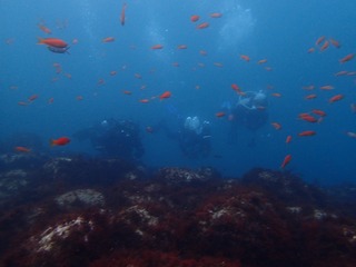 P3200187