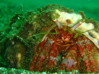 P8230051