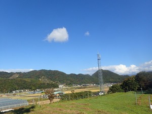 PB120005
