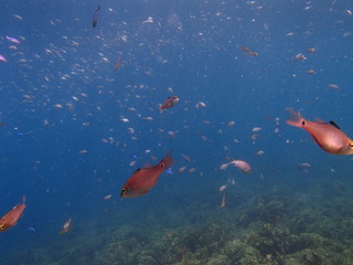P7210309