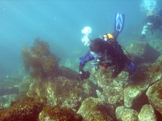スキューバダイビング 2.21真鶴
