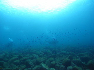 M0020178