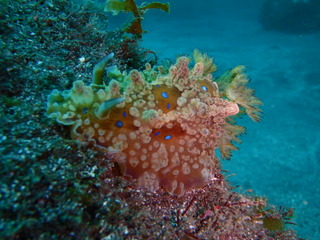 PA110398