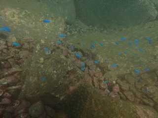 P9190105