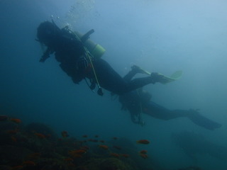 P9301292