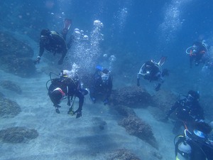 P1150181