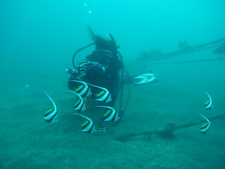 M0019651