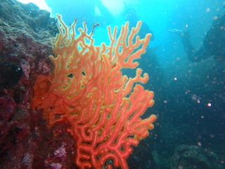 PB030027
