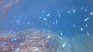 P8050342