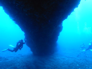 M0012281