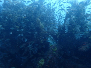 P2070143