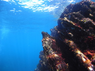 M0015652